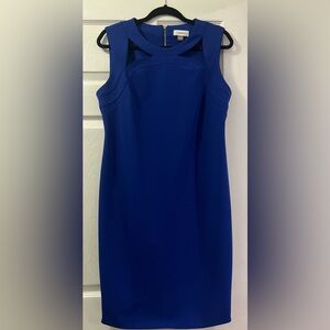 Calvin Klein sleeveless sheath dress